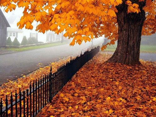 autumn-poetry-fall-october.jpg
